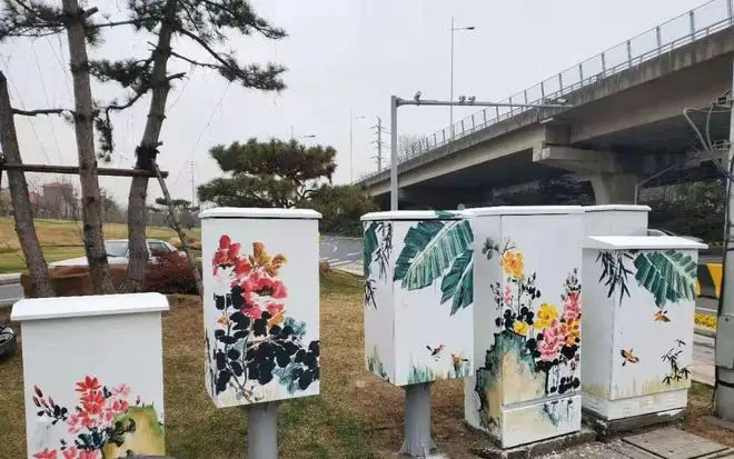 街頭配電箱變身“藝術品”，成為一道靚麗風景線