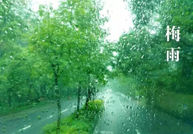 梅雨季節(jié)，如何解決配電箱回潮？給你支招